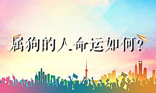 属狗的人命运如何?