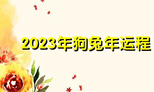 2023年狗兔年运程