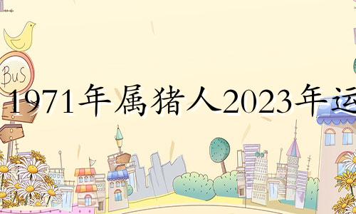 1971年属猪人2023年运势