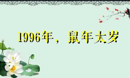 1996年，鼠年太岁