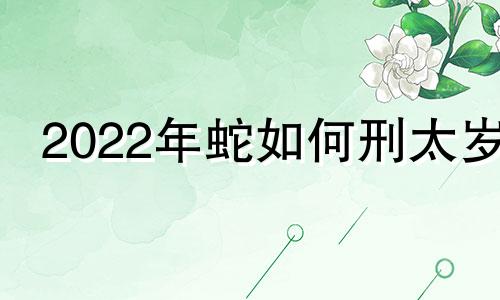 2022年蛇如何刑太岁