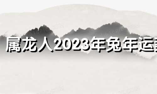 属龙人2023年兔年运势