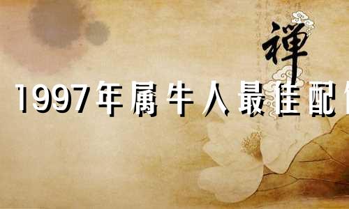1997年属牛人最佳配偶