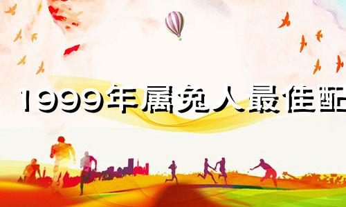 1999年属兔人最佳配偶