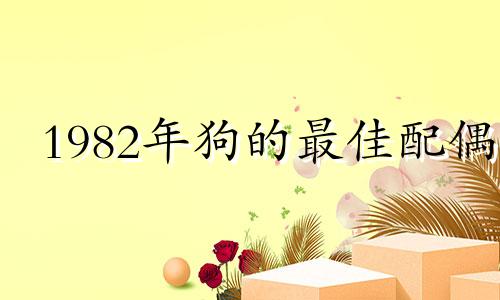 1982年狗的最佳配偶