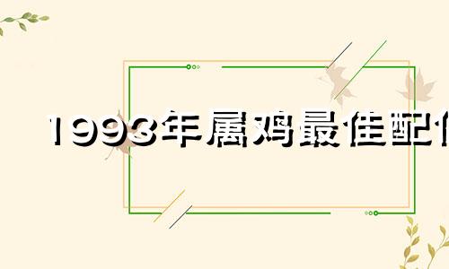 1993年属鸡最佳配偶