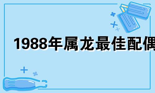 1988年属龙最佳配偶