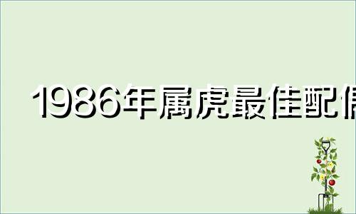 1986年属虎最佳配偶