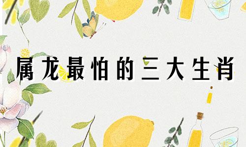 属龙最怕的三大生肖