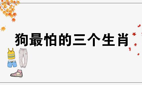 狗最怕的三个生肖