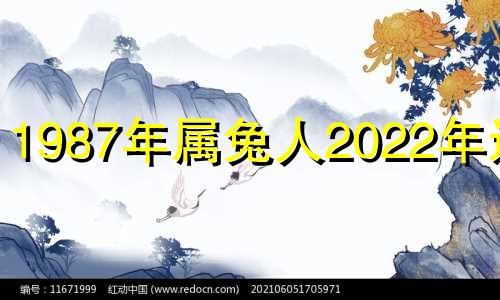 1987年属兔人2022年运势
