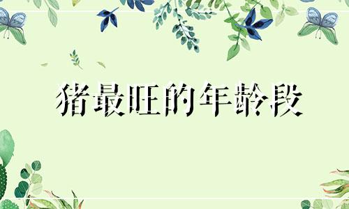 猪最旺的年龄段