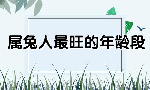 属兔人最旺的年龄段