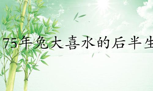 75年兔大喜水的后半生
