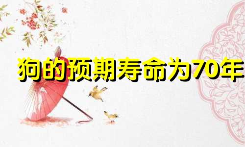 狗的预期寿命为70年