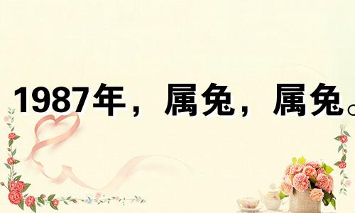 1987年，属兔，属兔。 35岁会有灾难。 1987年属兔，属兔。 2022年运势