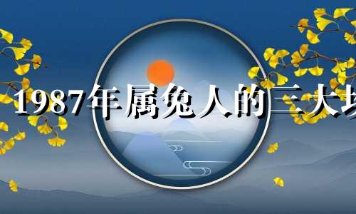 1987年属兔人的三大坎