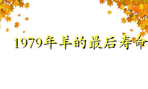 1979年羊的最后寿命