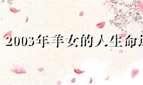 2003年羊女的人生命运