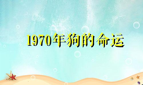 1970年狗的命运