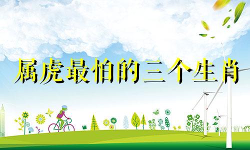 属虎最怕的三个生肖