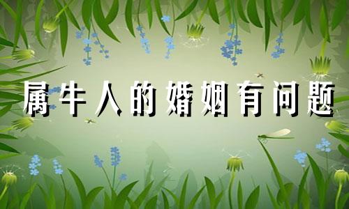 属牛人的婚姻有问题