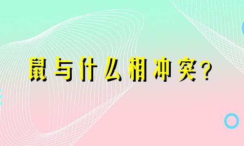 鼠与什么相冲突？