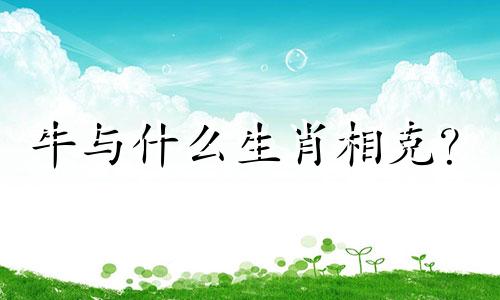 牛与什么生肖相克？