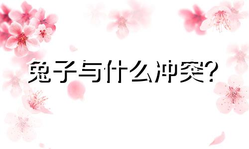 兔子与什么冲突？