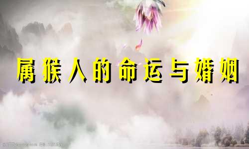 属猴人的命运与婚姻