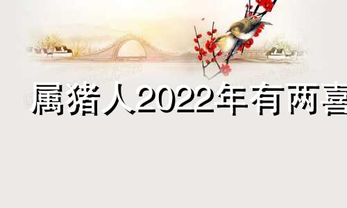 属猪人2022年有两喜