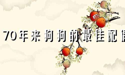 70年来狗狗的最佳配偶