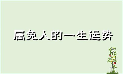 属兔人的一生运势