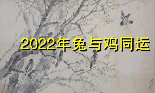 2022年兔与鸡同运