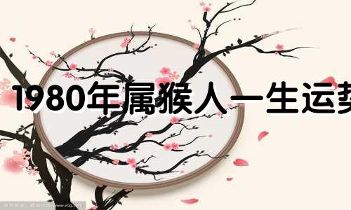 1980年属猴人一生运势