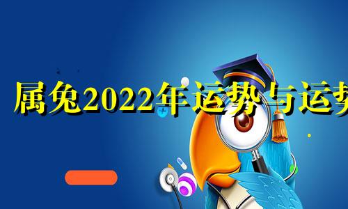 属兔2022年运势与运势 属兔2022年运势