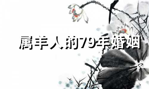 属羊人的79年婚姻 属羊人的79一生婚姻状况