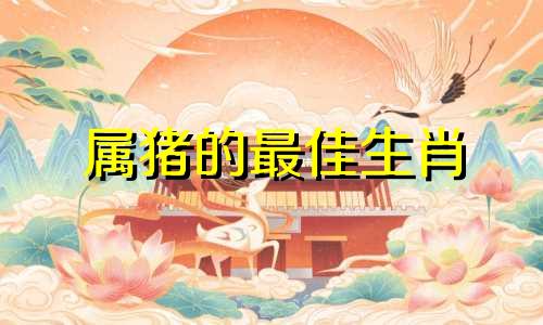 属猪的最佳生肖