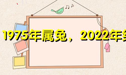 1975年属兔,2022年结婚