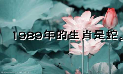 1989年的生肖是蛇。 2021年，与恋人的关系将会升温。