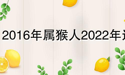 2016年属猴人2022年运势