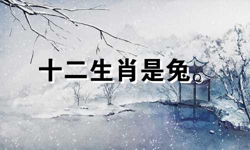 十二生肖是兔。 2021年上半年运势稳定，不错。注意你的健康。