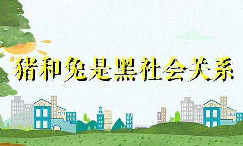 猪和兔是黑社会关系