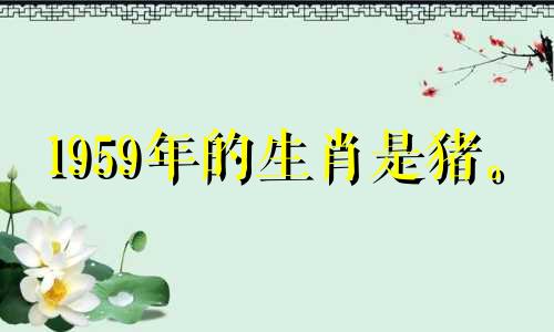 1959年的生肖是猪。 2021年要关注健康下滑。