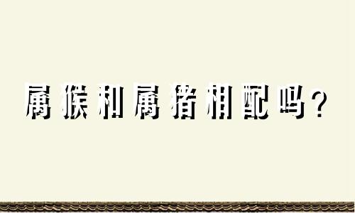 属猴和属猪相配吗？