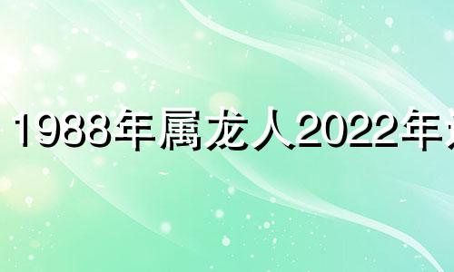 1988年属龙人2022年运势