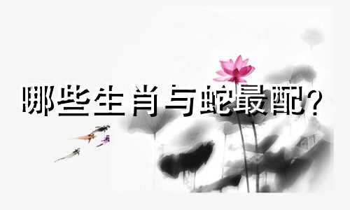 哪些生肖与蛇最配？