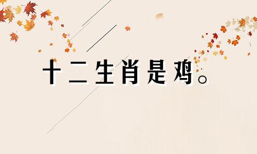 十二生肖是鸡。 2021年下半年，吉星有助改善你的运势。