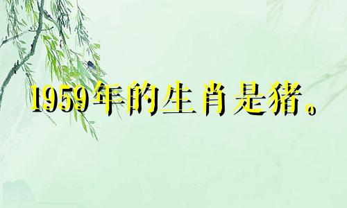 1959年的生肖是猪。 2021年，事业、退休、生活平稳发展。