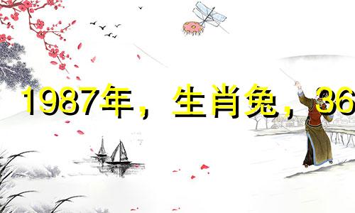 1987年,生肖兔,36岁